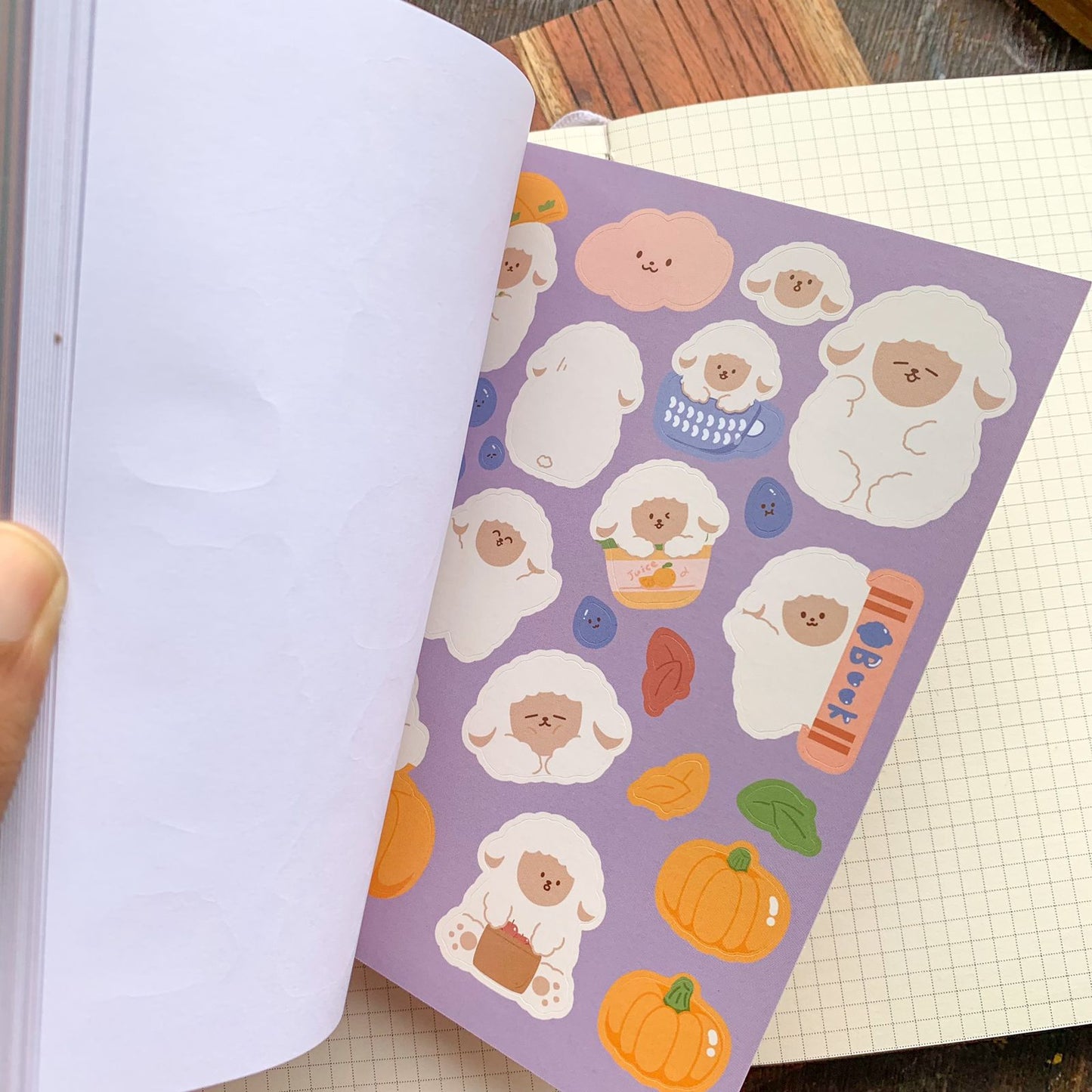 KQ-0066-CPP - Kawaii Decorative Sticker Book | Paper & PET Stickers | 15 Paper & 15 PET Stickers Sheets | 30 Sheets | 15x13 CM | Cool Play Park