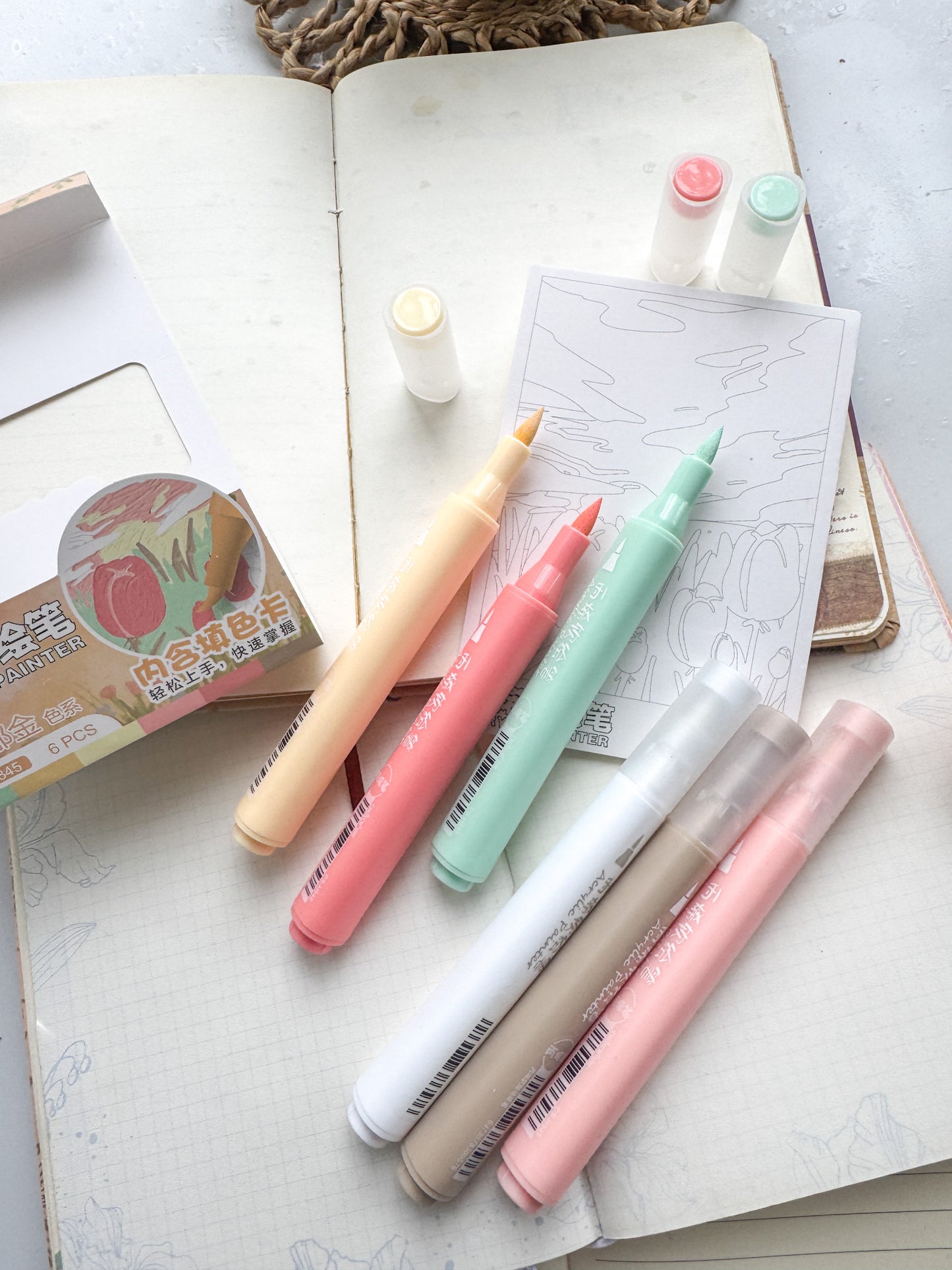 Csh845 Acrylic Painter | 6 pcs | Brush Pen