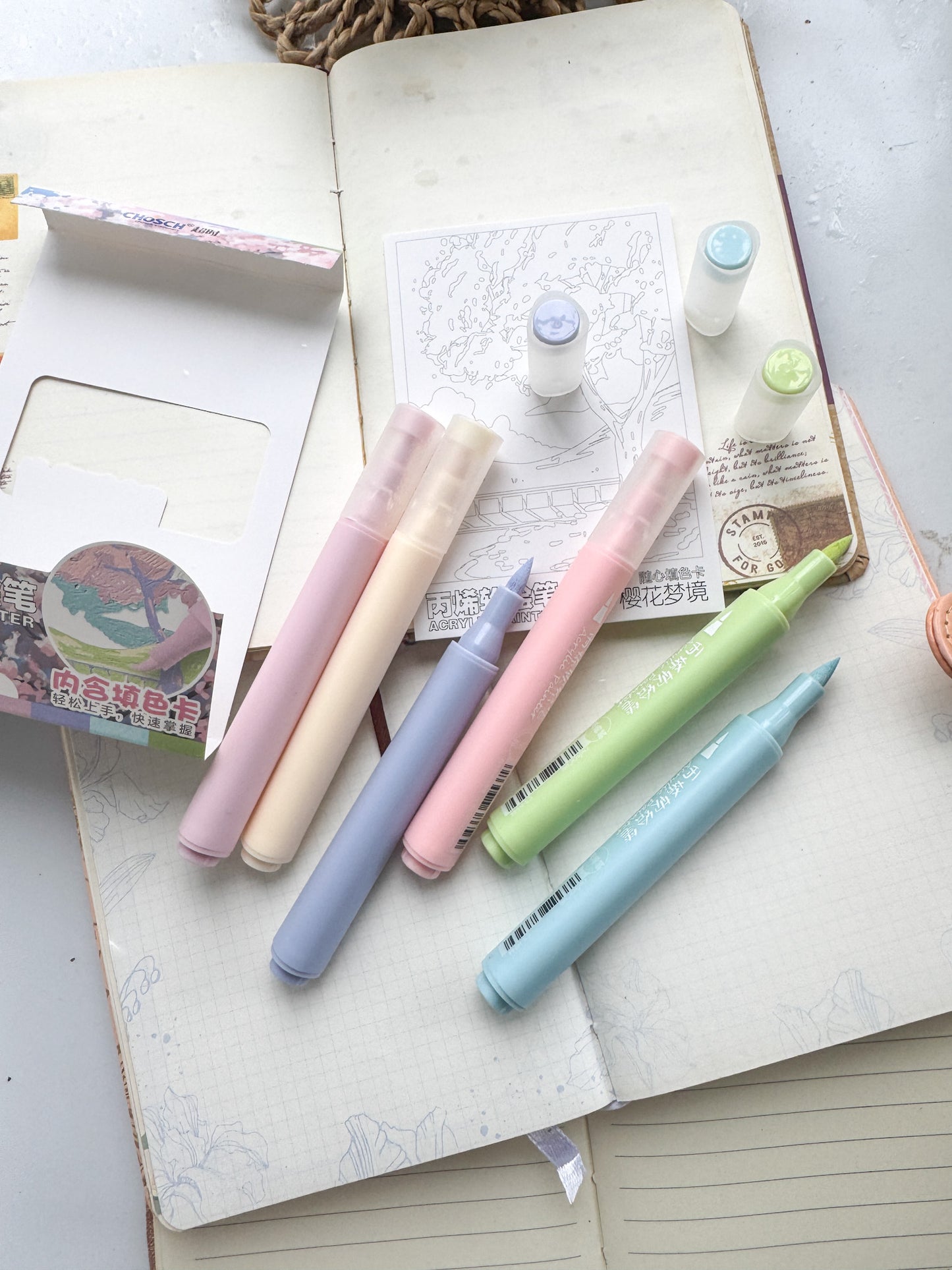 Csh844 Acrylic Painter | 6 pcs | Brush Pen
