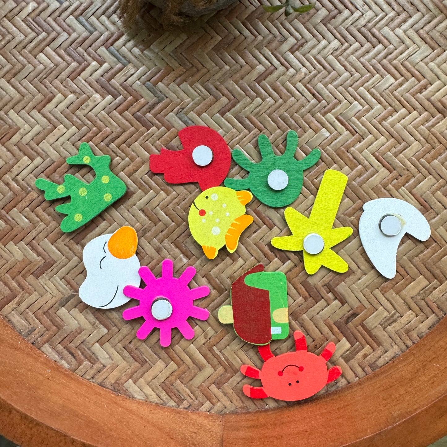 Cute Wooden Fridge Magnets | pack of 10 Random Design
