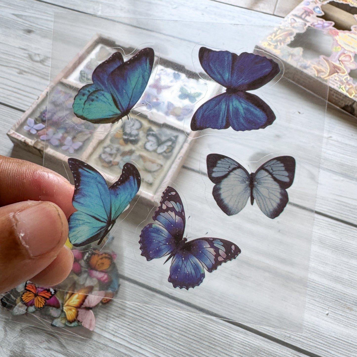 Dyzj 101 The Land Of Butterfly Wings | Best Vintage Sticker Collection | 100 pcs PET Transparent stickers in each box | 500 stickers Peach Box| Precut sticker | Kisscut sticker