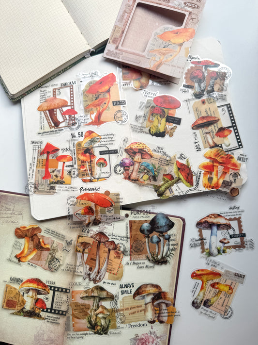 Cjhy603 Flower Brilliance Strange Place Mashroom Transparent Pet Sticker | 20 Pcs