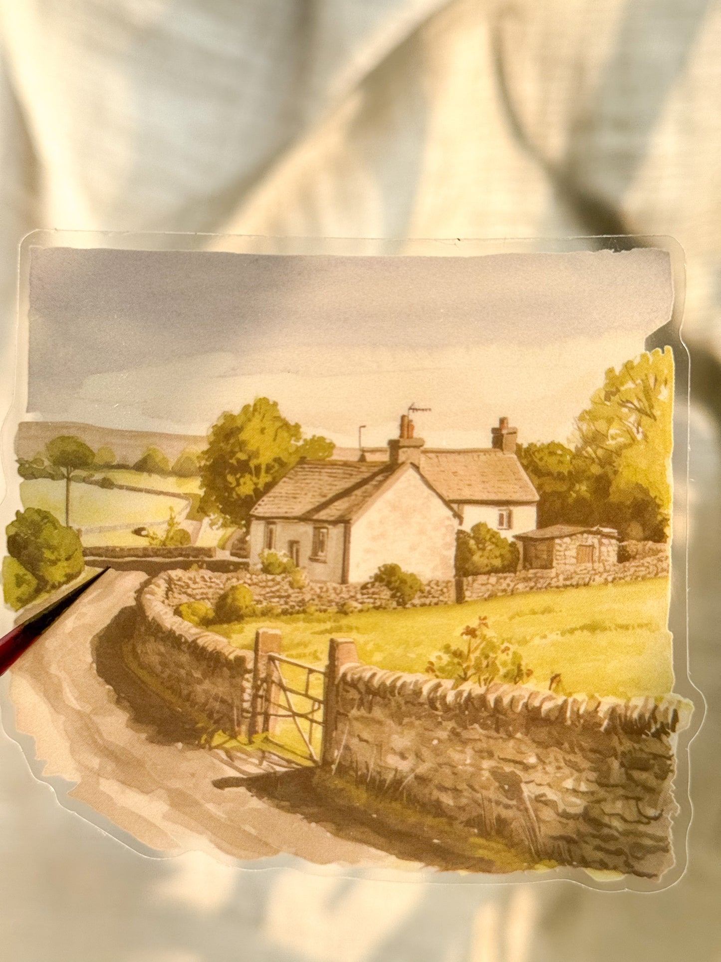 Olzm403 Water Colour Pictures Transparent Sticker | 10 pcs