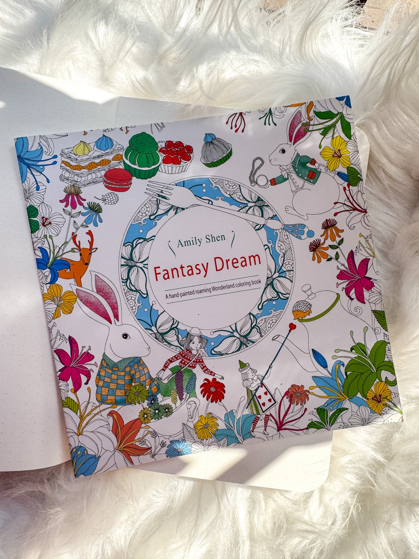 The Enchanted Forest Coloring Canvas Line Drawn Book | 24 pics Random Design