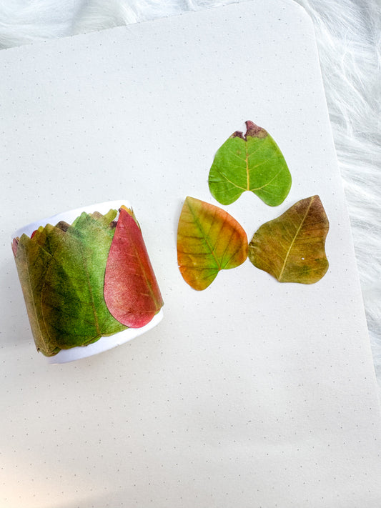 Hgd-xxly006 Fallen Leaves Paper Sticker Roll | 35*35mm 50 pcs