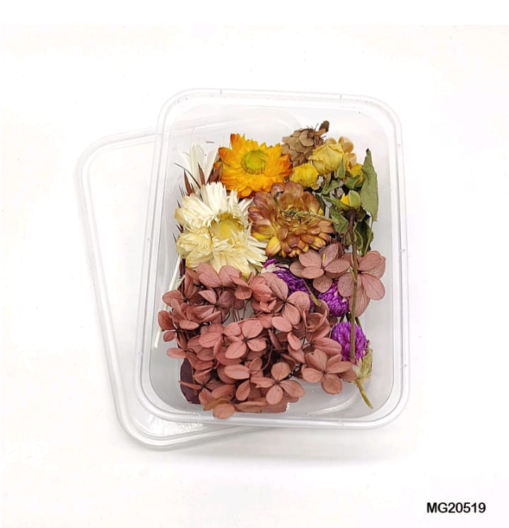 MG-205-19 - DRY FLOWER BOX