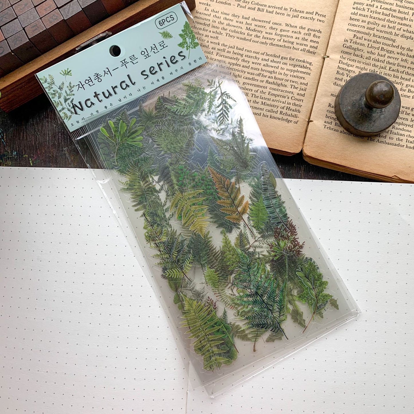 Zrcs 803 PET Journal Sticker | Transparent Sticker - 6 sheet