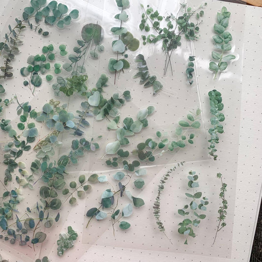 Zrcs 808 PET Journal Sticker | Transparent Sticker - 6 sheet