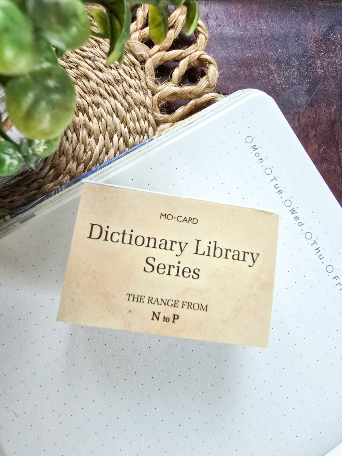 Mmk05d411 Dictionary Library Series N to P | 100 pages | Material Paper