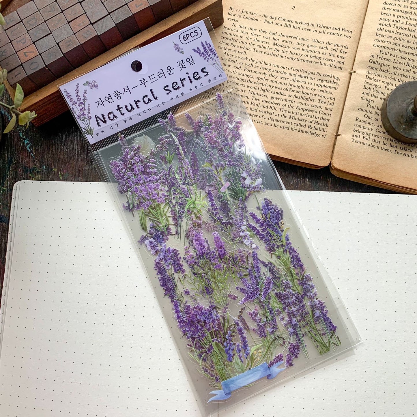 Zrcs 807 PET Journal Sticker | Transparent Sticker - 6 sheet