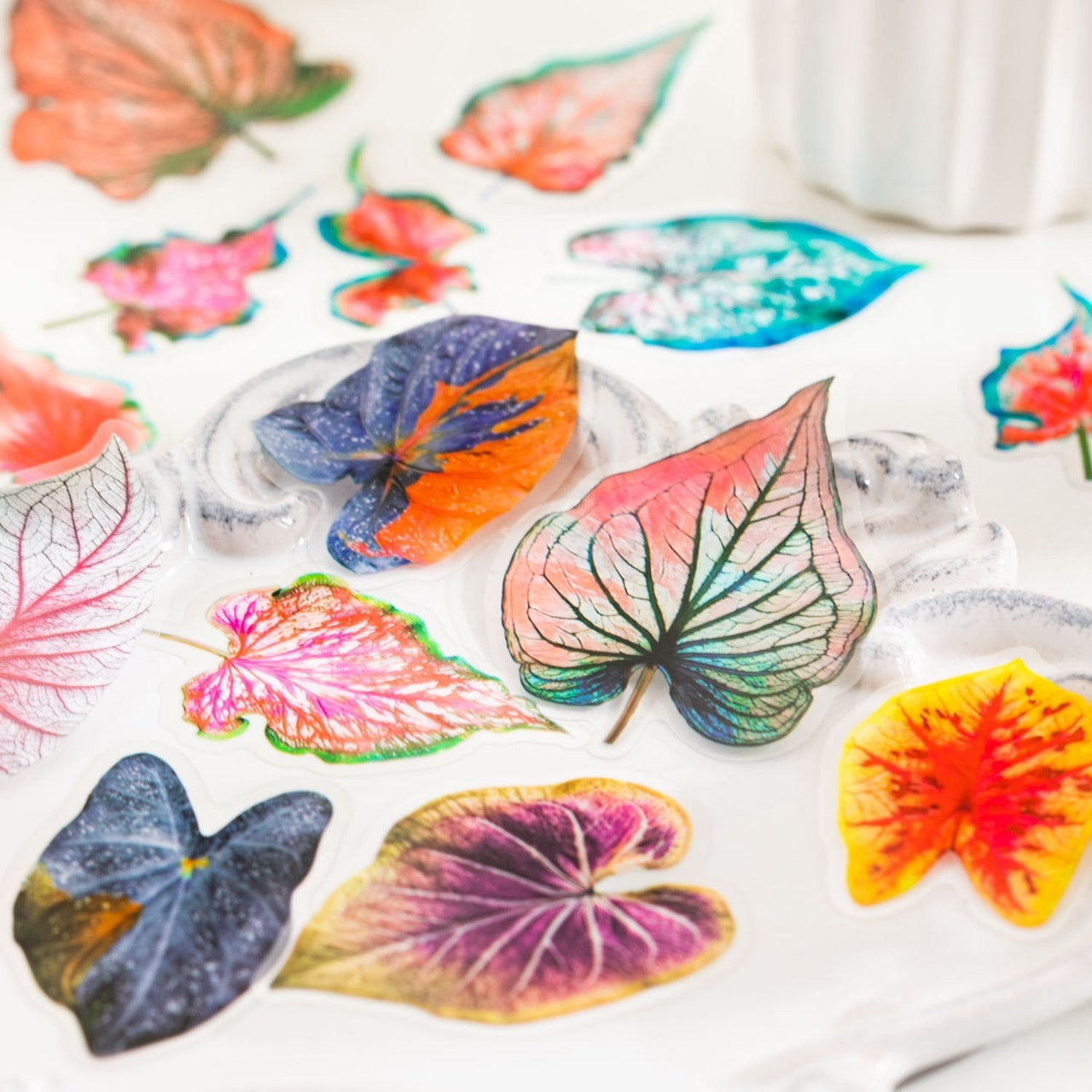 Cyyj004 PET Sticker | Caladium Bicolor | 30 pcs