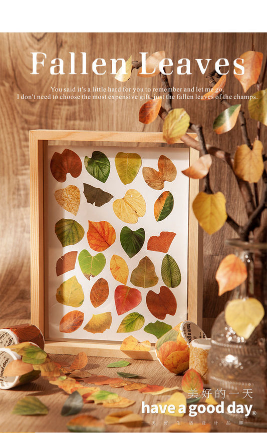 Lfhy004 Leaf Paper roll Sticker | 38*38mm
