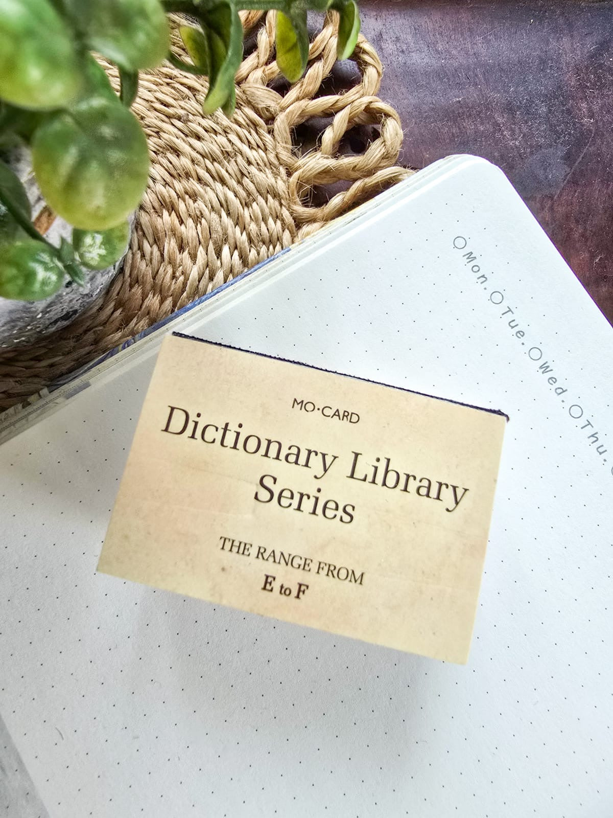 Mmk05d408 Dictionary Library Series E to F | 100 pages | Material Paper