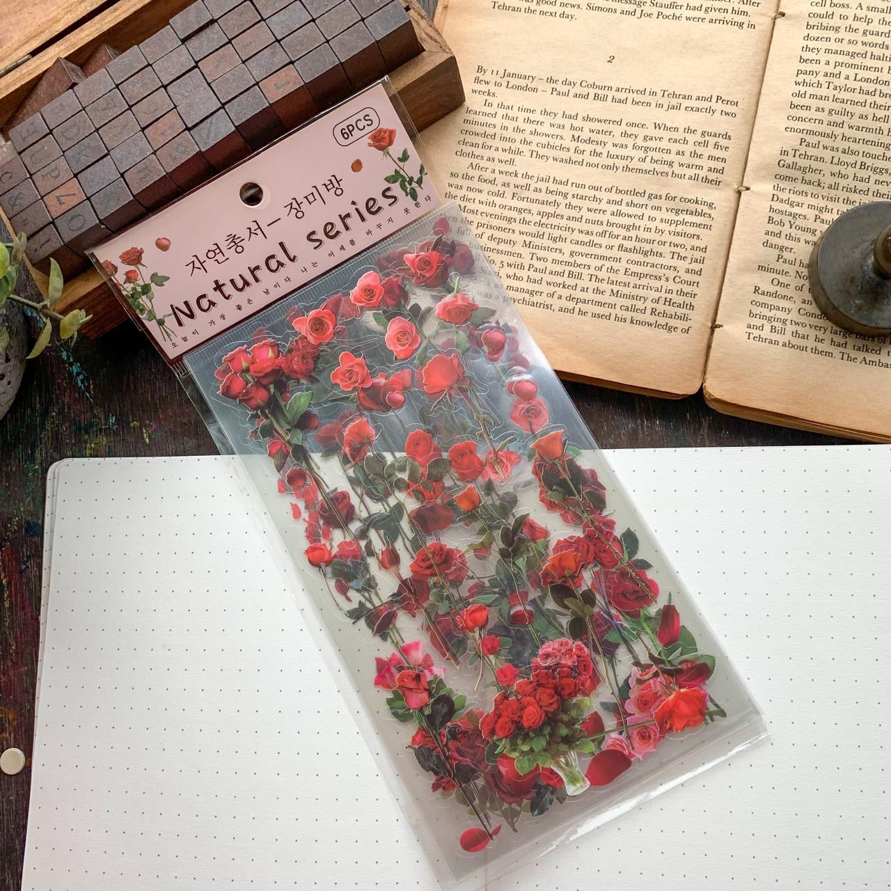 Zrcs 805 PET Journal Sticker | Transparent Sticker - 6 sheet