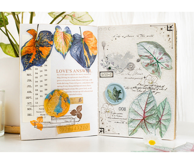 Cyyj004 PET Sticker | Caladium Bicolor | 30 pcs