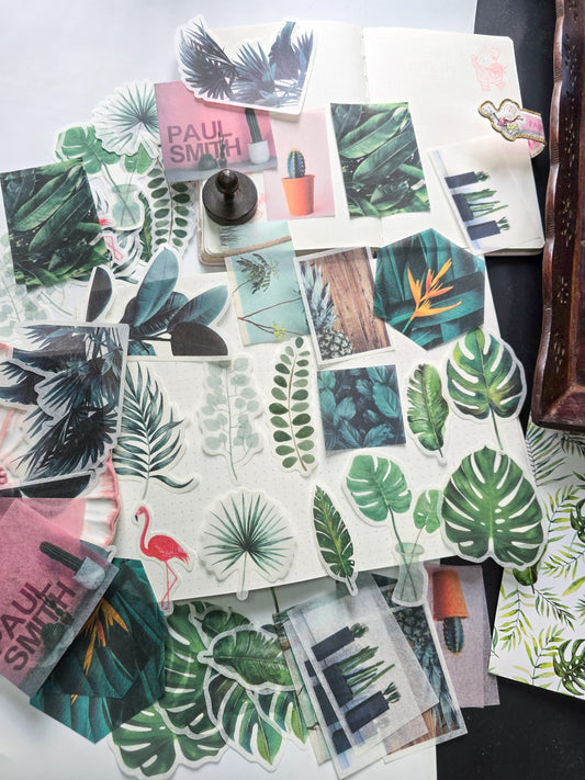 MMK06B050 NATURAL COLLECTION DECO STICKER 60 PC