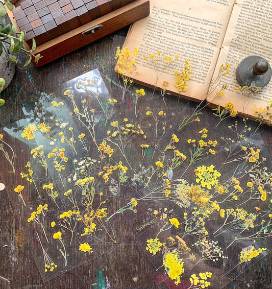 Zrcs 806 -  PET Journal Sticker | Transparent Sticker - 6 sheet