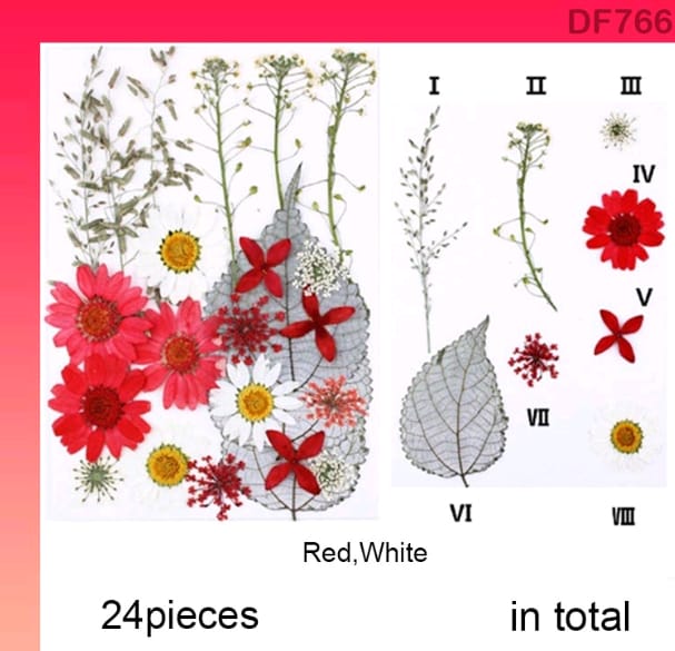 DF766 DRY FLOWER SHEET | Dried Flower | Pressed Flowers