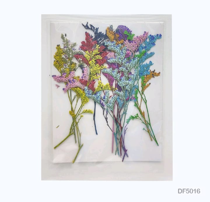 DF5016 PRESSED FLOWER SHEET | Dry Flower | Dried Flower