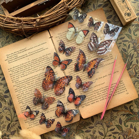 953375 #6 POPUP 3D BUTTERFLY STICKER