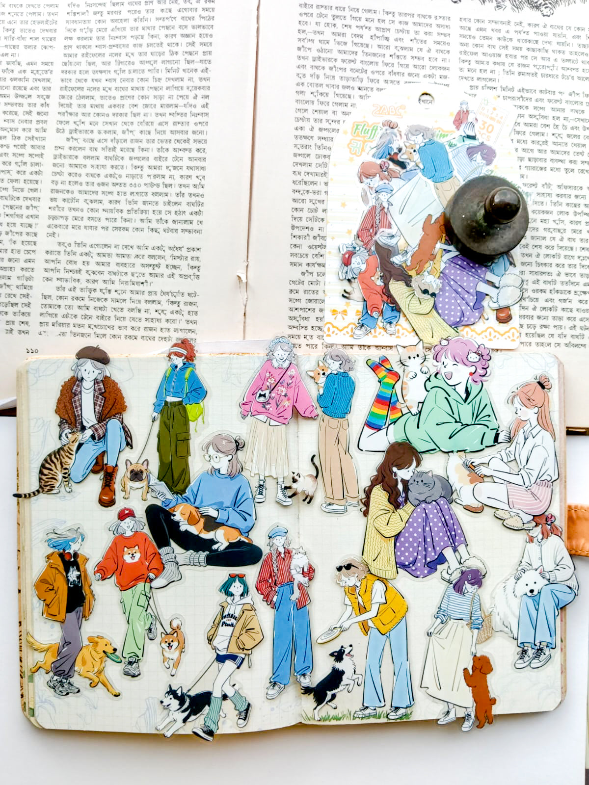 YRSH-603 | Fluffy Pet Playtime Character Sticker 30Pcs PET | 70* 80mm