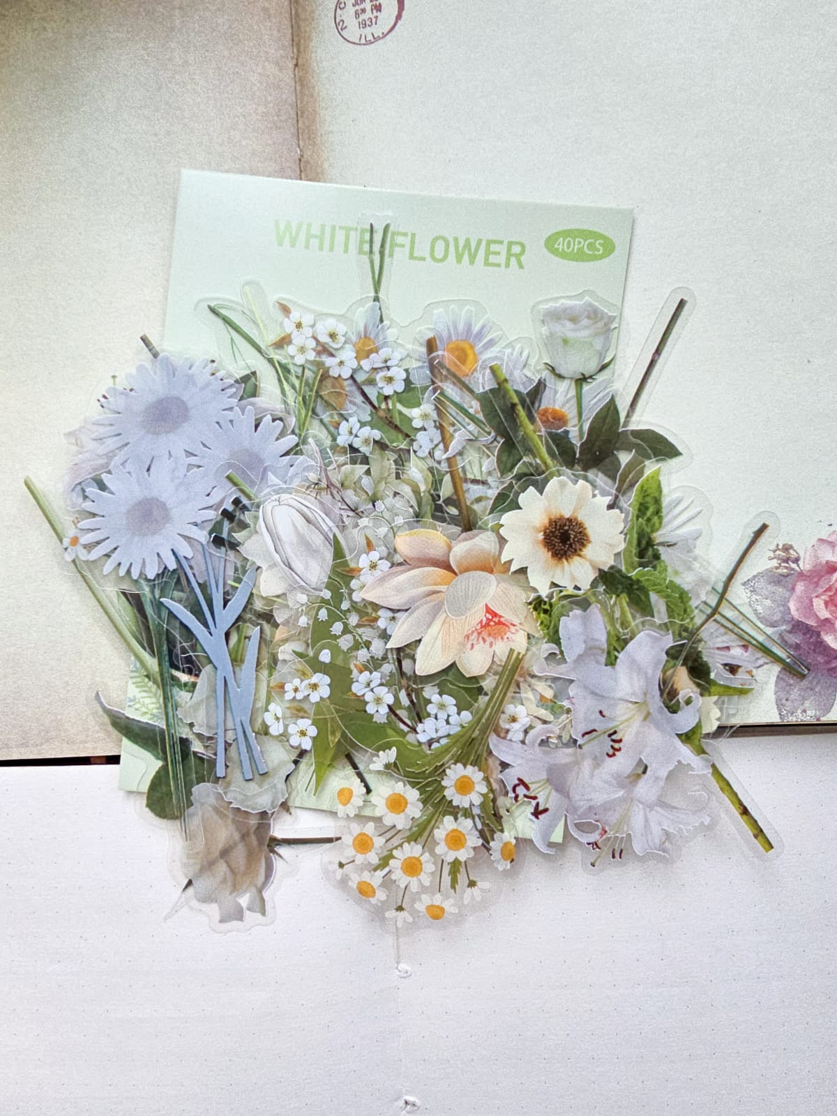 B70|G-3| Pet | G3| Floral Sticker | 40PCS