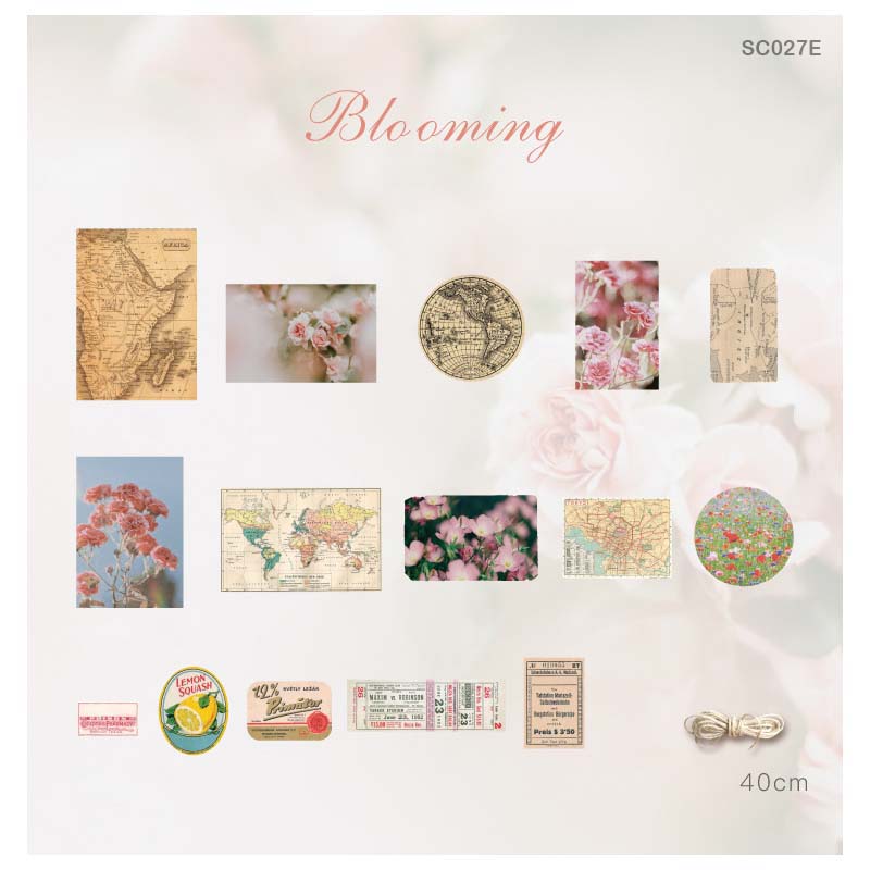 SC027E - Vintage Collection 30 Pcs