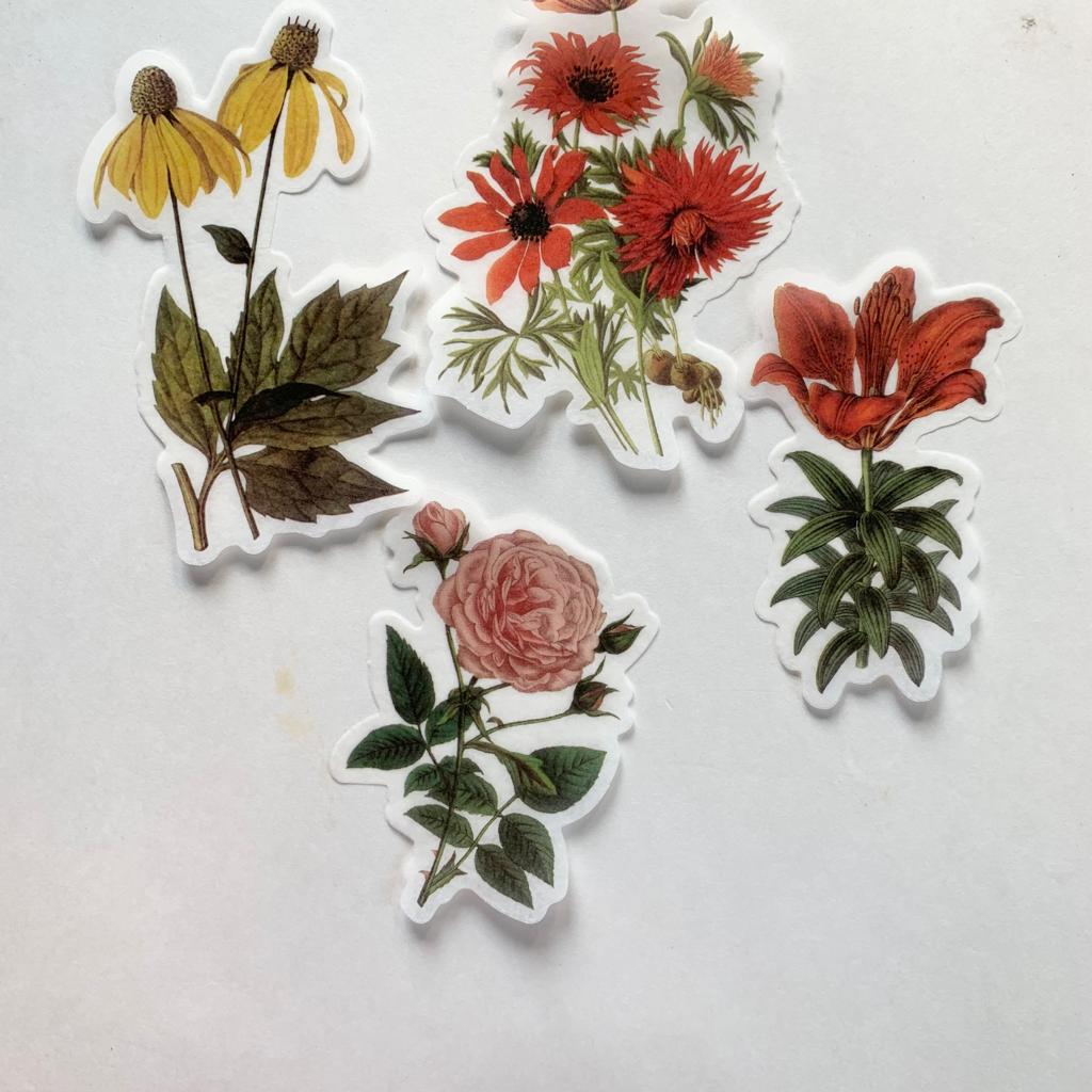 MMK06B049 NATURAL COLLECTION DECO STICKER 60 PC