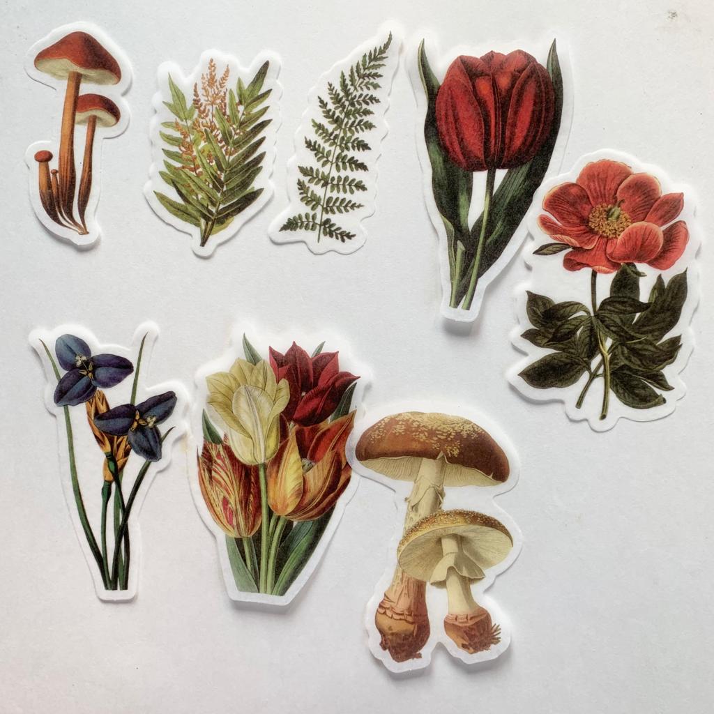 MMK06B049 NATURAL COLLECTION DECO STICKER 60 PC