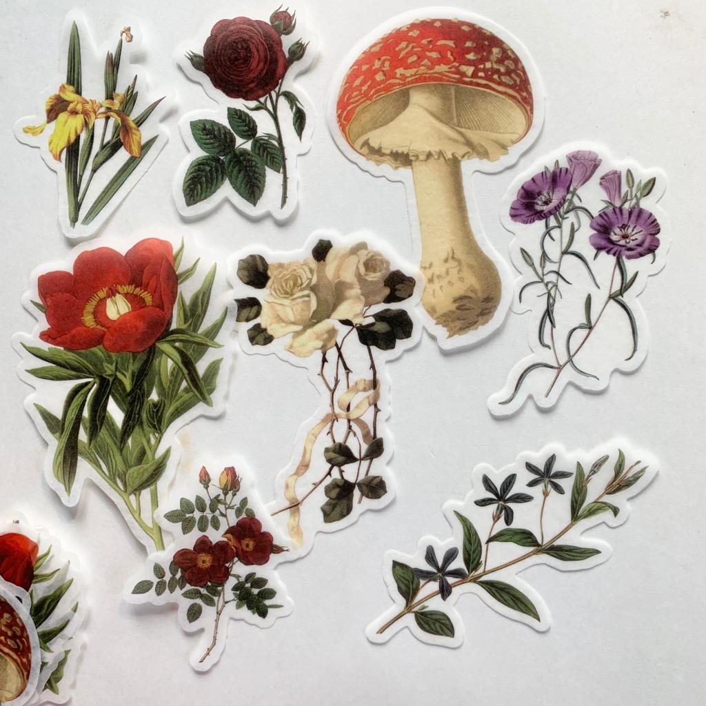 MMK06B049 NATURAL COLLECTION DECO STICKER 60 PC