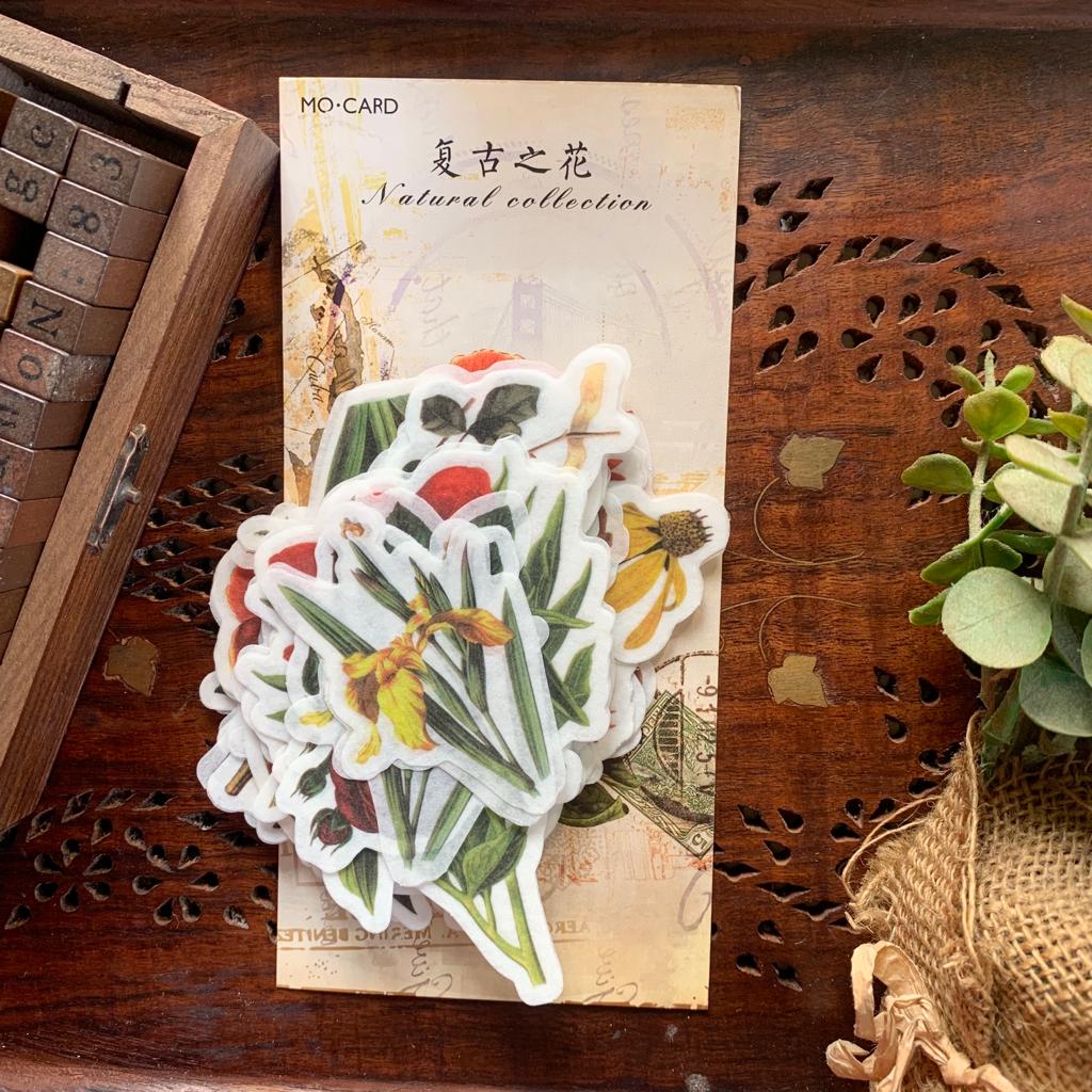 MMK06B049 NATURAL COLLECTION DECO STICKER 60 PC