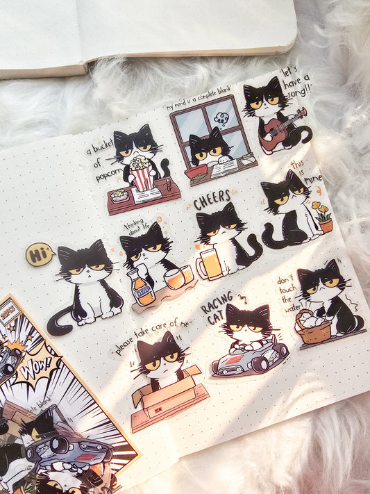 Mbnt 401 Cat Star Transparent Pet Sticker | 10*2 20 pcs