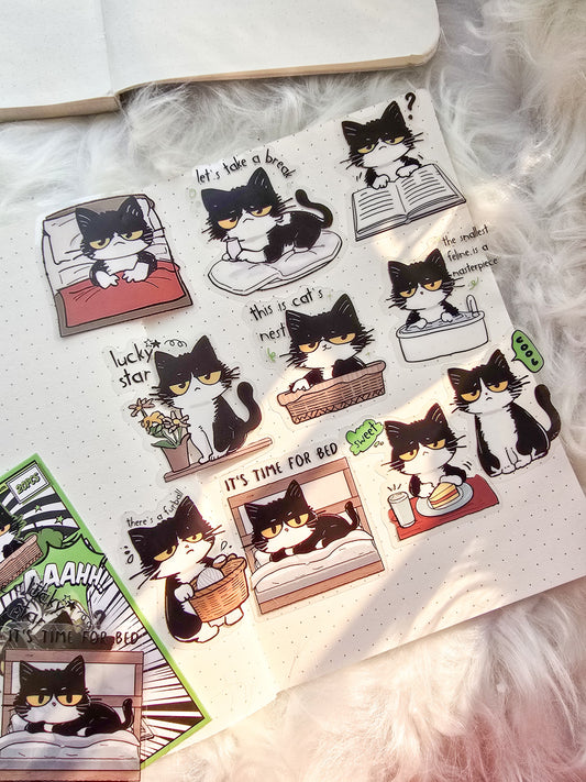 Mbnt 404 Cat Star Transparent Pet Sticker | 10*2 20 pcs