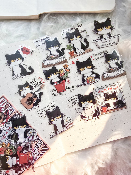 Mbnt 402 Cat Star Transparent Pet Sticker | 10*2 20 pcs