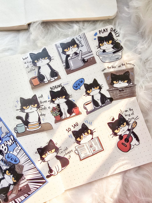 Mbnt 403 Cat Star Transparent Pet Sticker | 10*2 20 pcs
