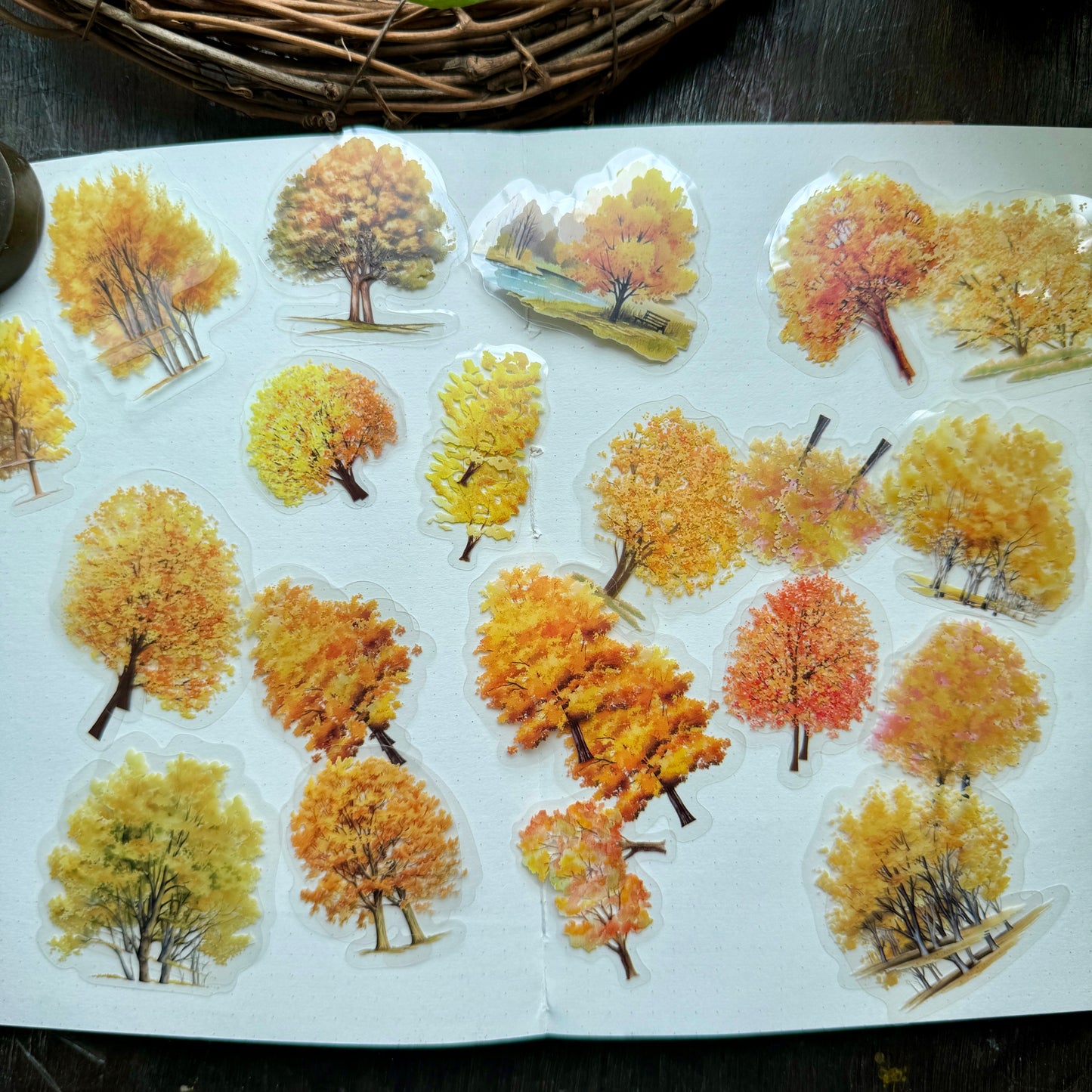 Ts06H044 Nature Tree Sticker Pack 40Pc