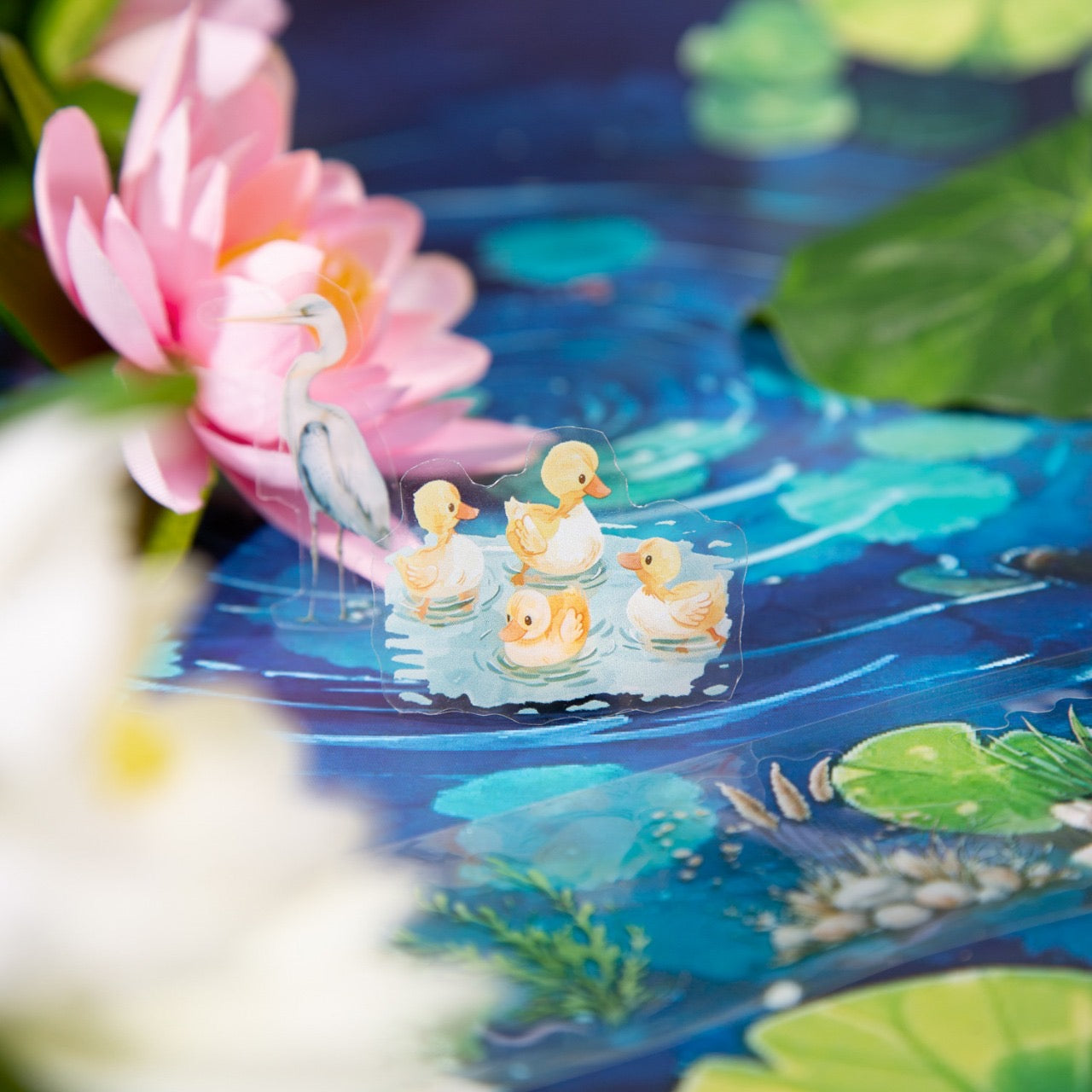 Cxly004 Early Summer Ripples Sticker roll Pet Sticker | 50mm*2m