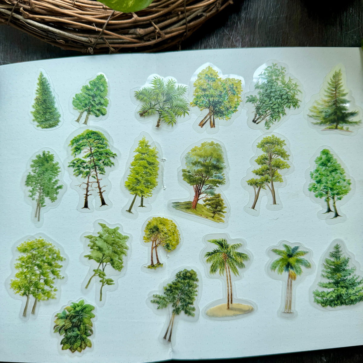 Sticker Tree Shopee Ts06H045 Nature Tree Sticker Pack 40Pc – Adriti's Home