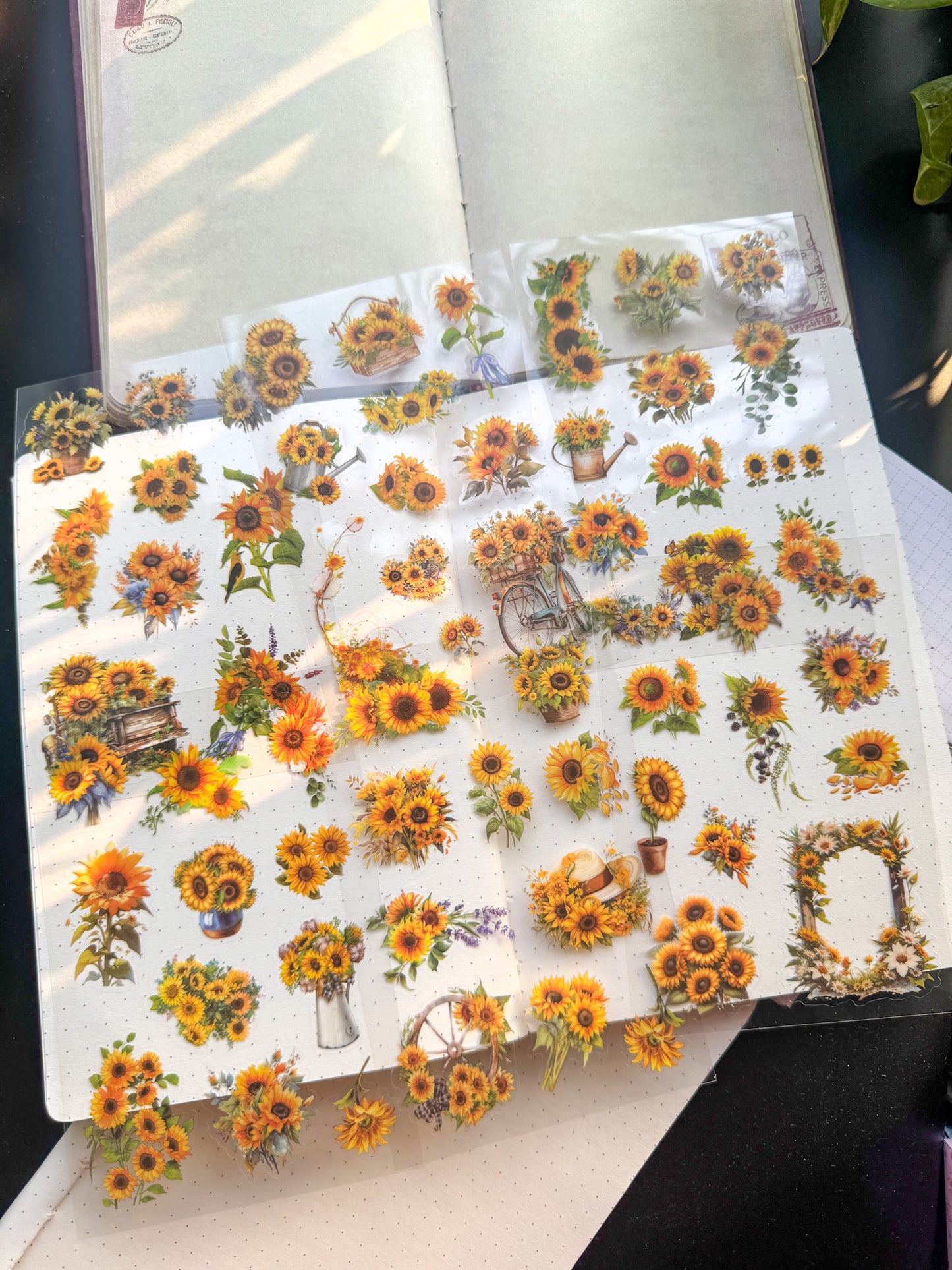 MYHZ-601 SUNFLOWERS| Dream Shadow Bloom Series Pet Sticker Sheets|6 Sheets 100*150mm| Yellow Themed
