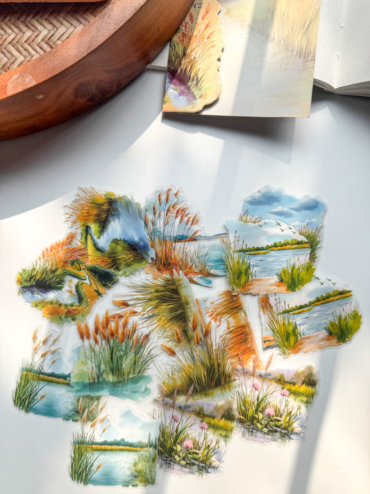 Lyhy603 Lotus Swamp Transparent Flower Pond Stickers | 20 Pcs