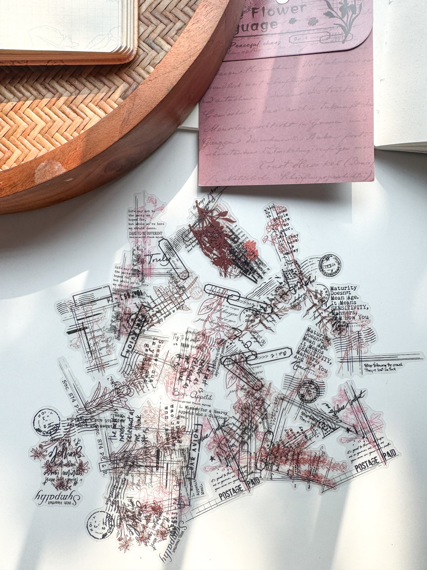 Bywy601 Language Collection Transparent Pet Sticker | 30 pcs