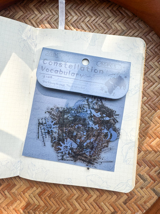 Bywy605 Language Collection Transparent Pet Sticker | 30 pcs