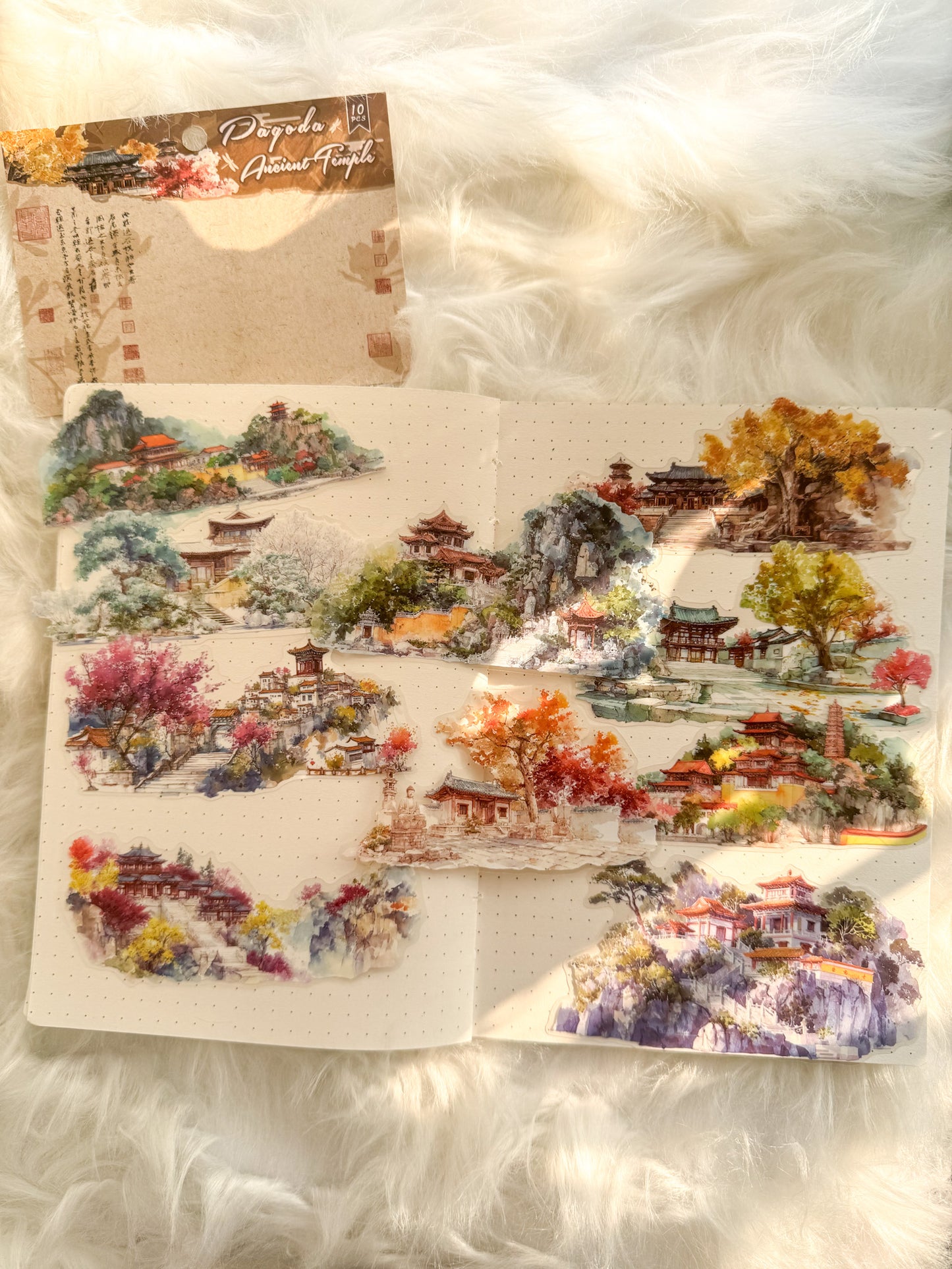 Szyt602 Water Colour Pictures Transparent Sticker | 10 pcs