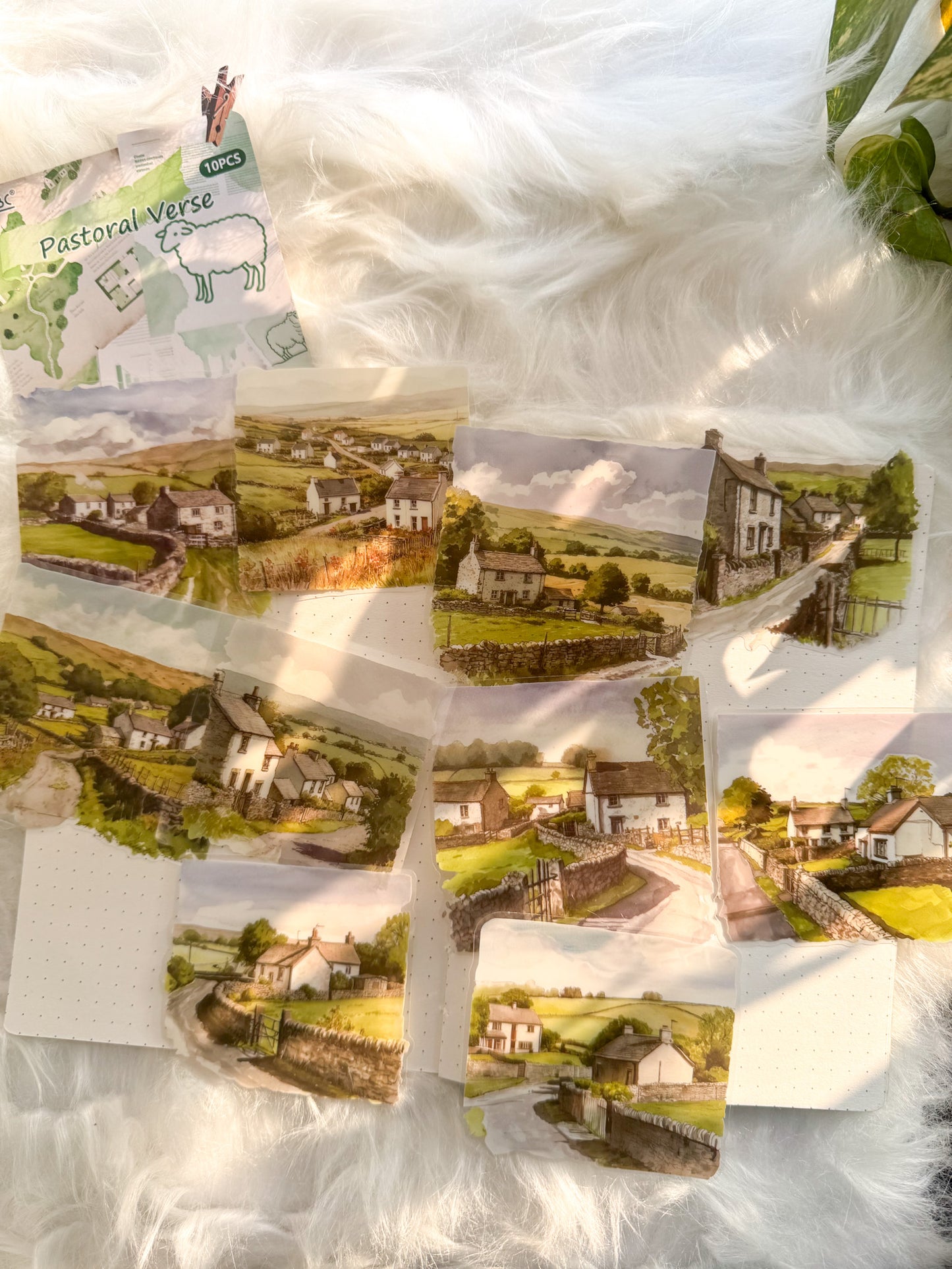 Olzm403 Water Colour Pictures Transparent Sticker | 10 pcs