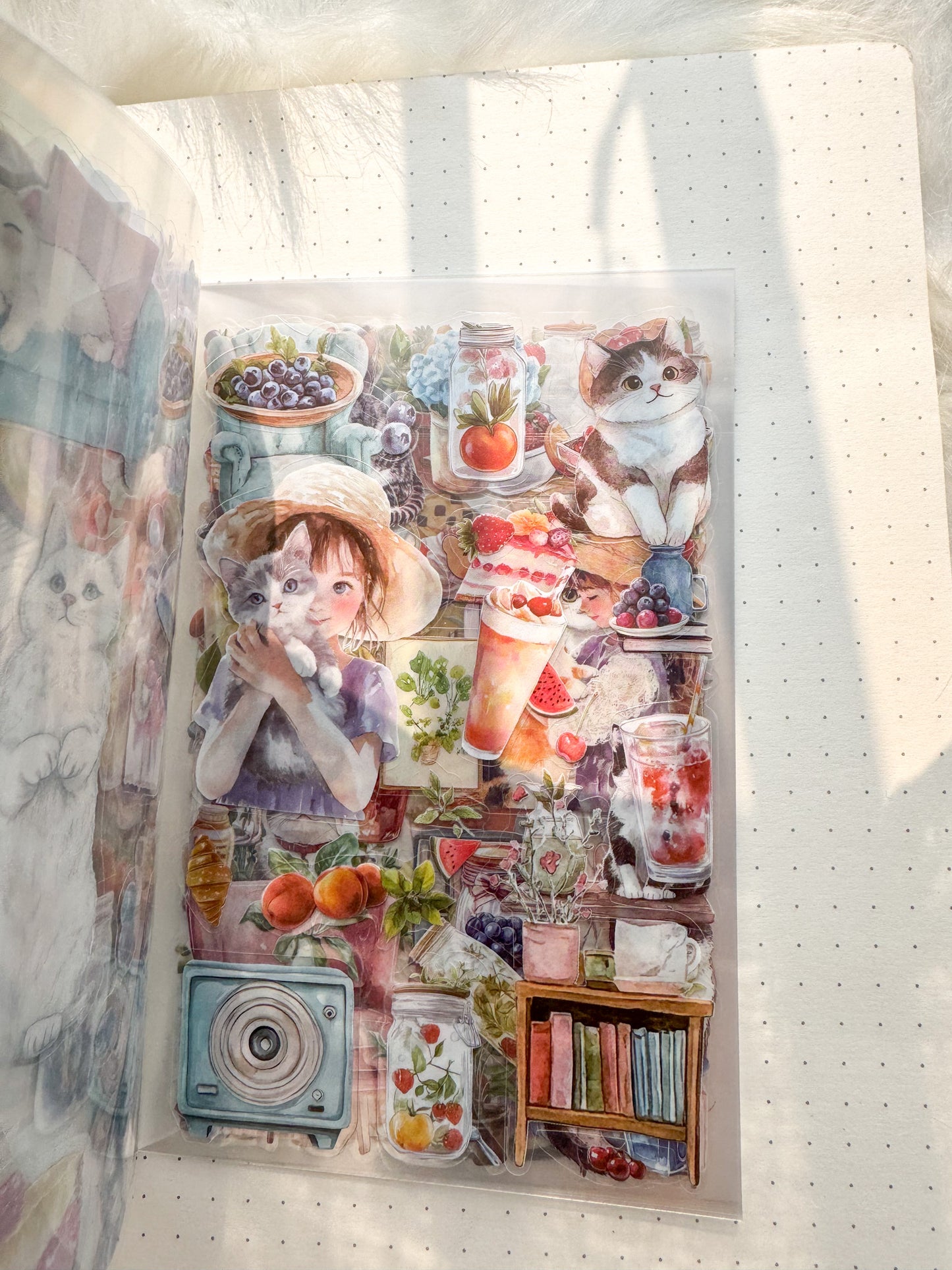 Bfmcl401 Berry Cat Time Sticker Transparent Book | Over 300 Stickers - 20 Sheets