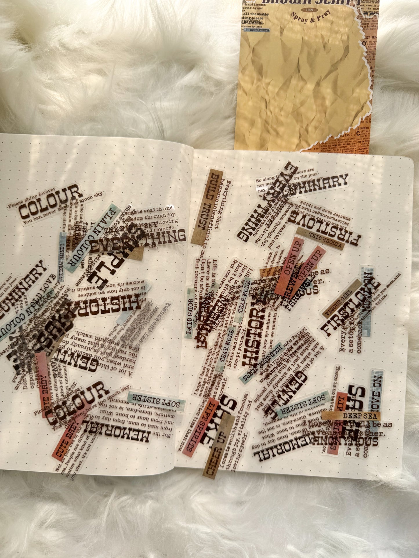 Zjxy604 Brown Script Sentence Sticker Transparent | 40Pcs