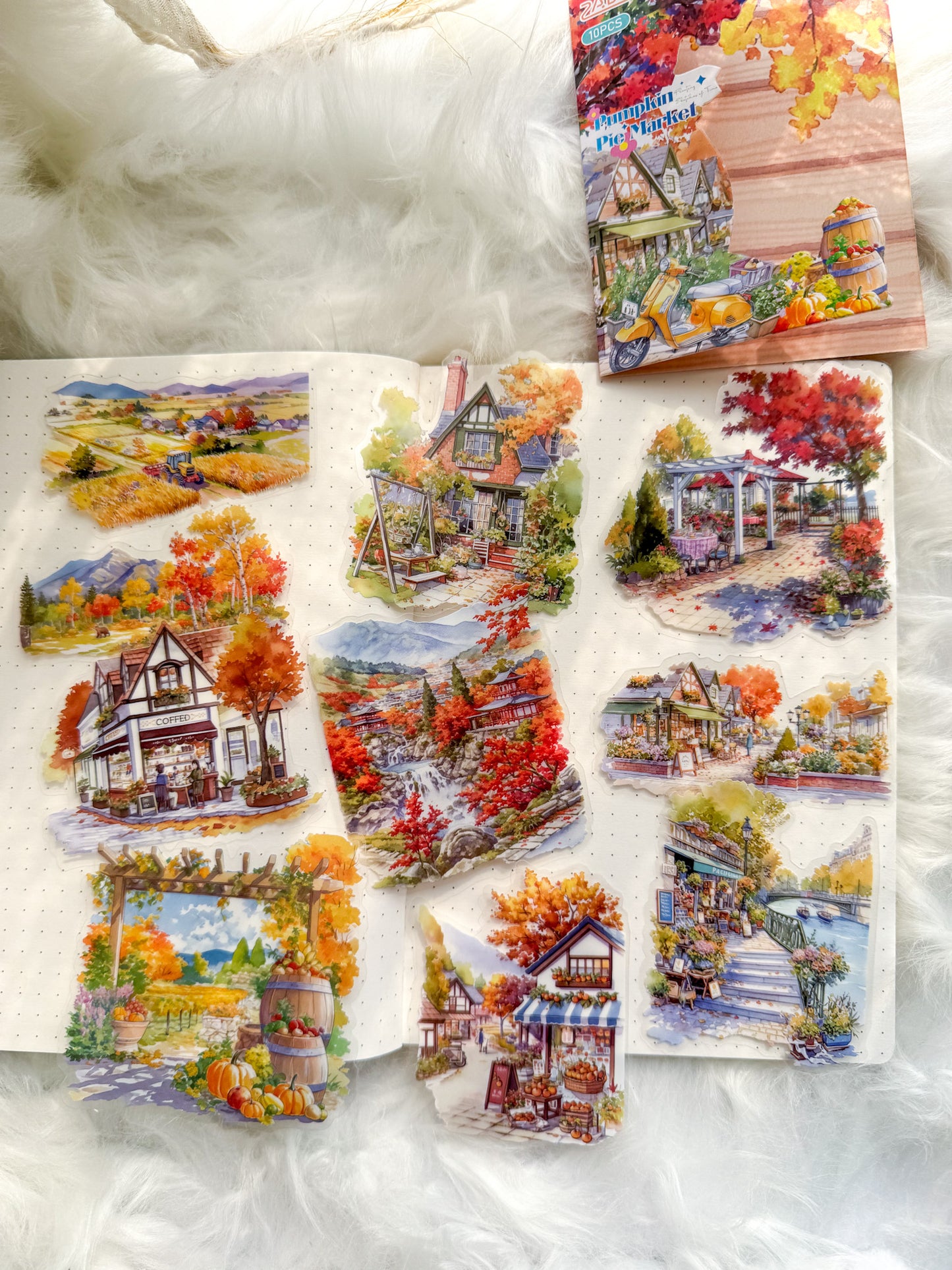 Ssqh403 Pumpkin Pie Transparent Pet Sticker | 10 Pcs