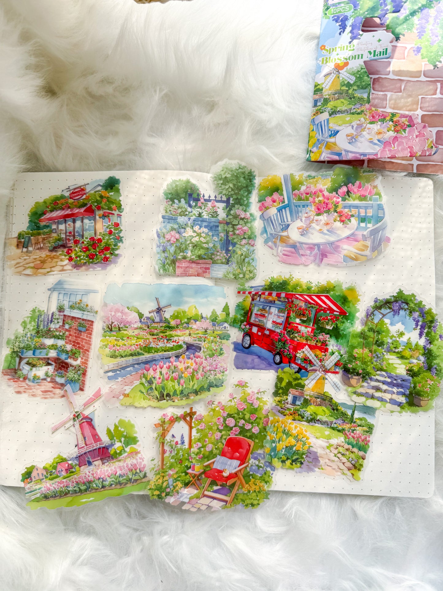 Ssqh401 Spring Blossom  Transparent Pet Sticker | 10 Pcs