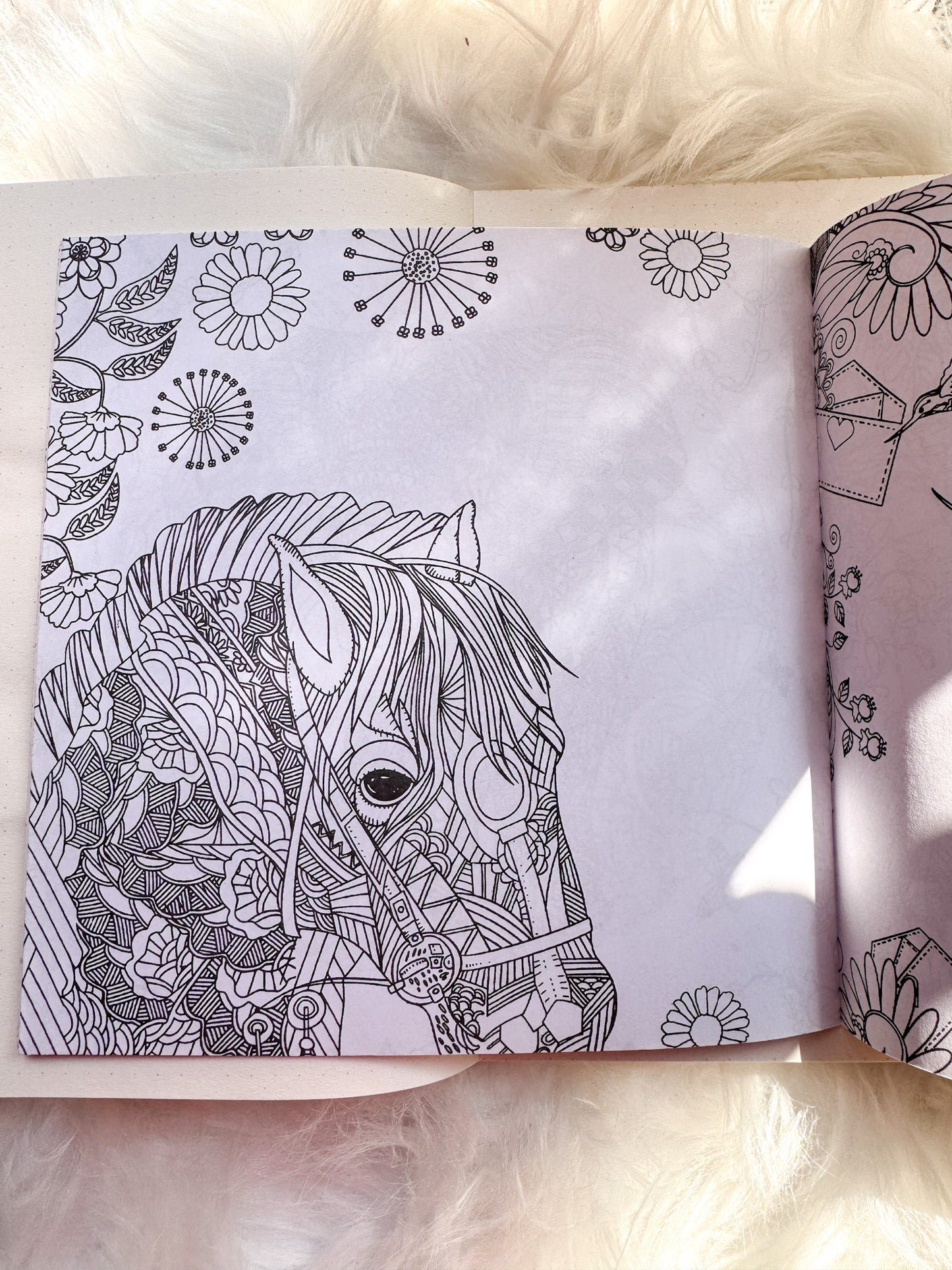 The Enchanted Forest Coloring Canvas Line Drawn Book | 24 pics Random Design