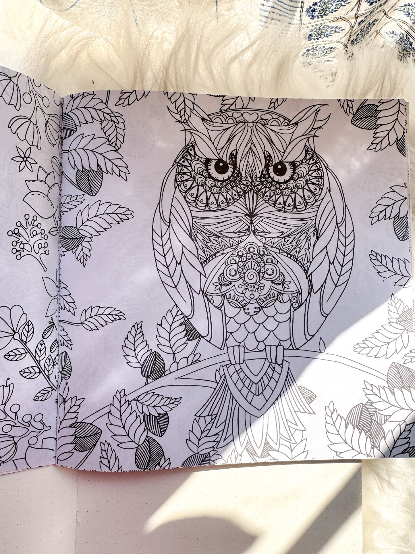 The Enchanted Forest Coloring Canvas Line Drawn Book | 24 pics Random Design